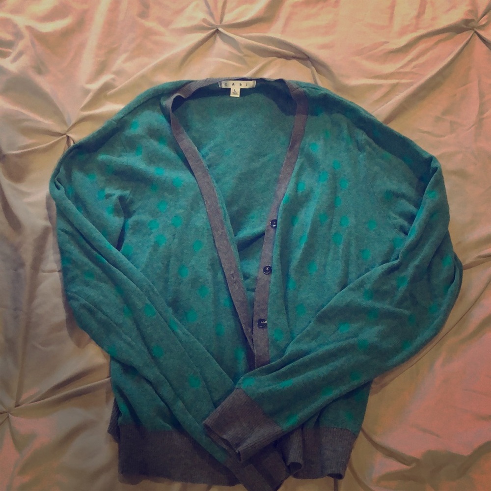 Cardigan sweater